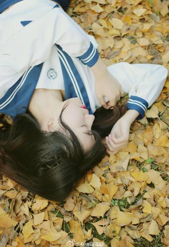 丁香花完整视频在线观看